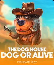 The Dog House - Dog or Alive